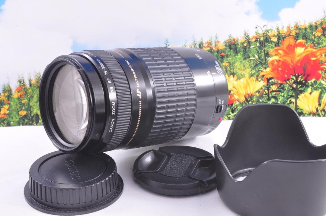 Canon EF 90-300mm USM フード付キヤノン 望遠ズーム 整備済