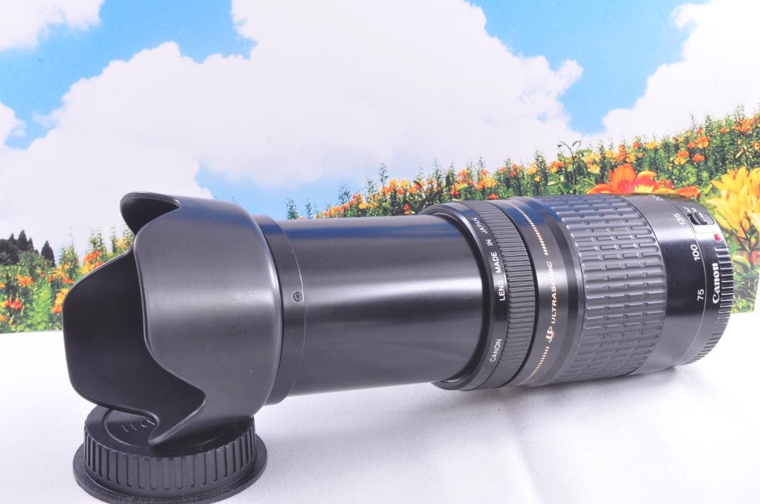 Canon EF 90-300mm USM フード付キヤノン 望遠ズーム 整備済