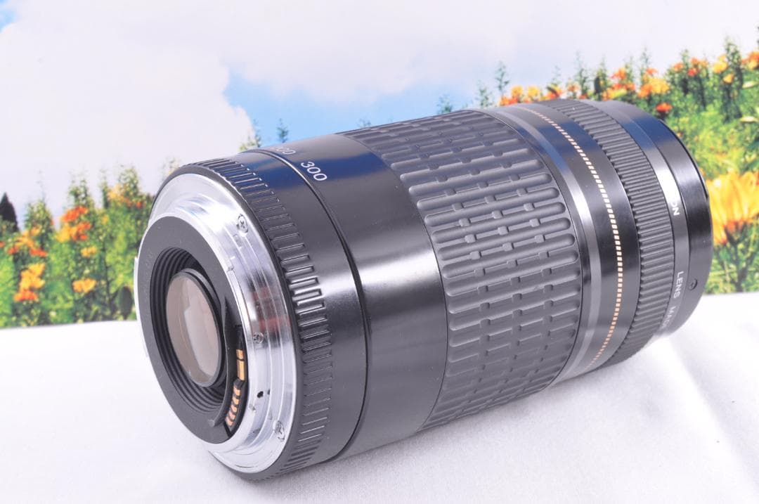 Canon EF 90-300mm USM フード付キヤノン 望遠ズーム 整備済