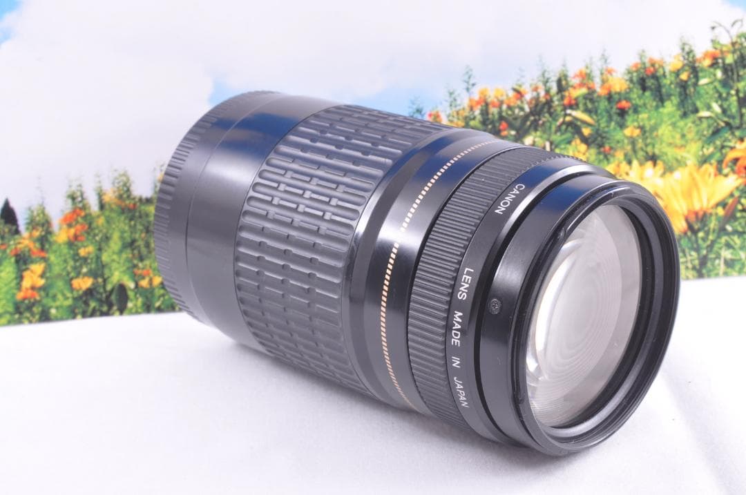 Canon EF 90-300mm USM フード付キヤノン 望遠ズーム 整備済