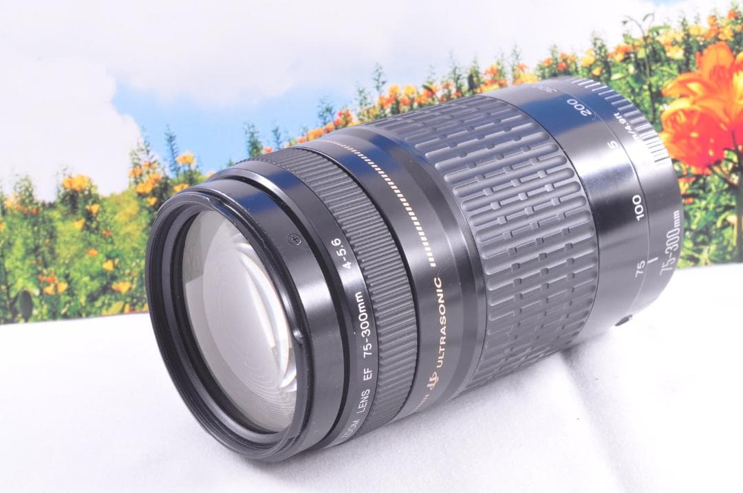 Canon EF 90-300mm USM フード付キヤノン 望遠ズーム 整備済