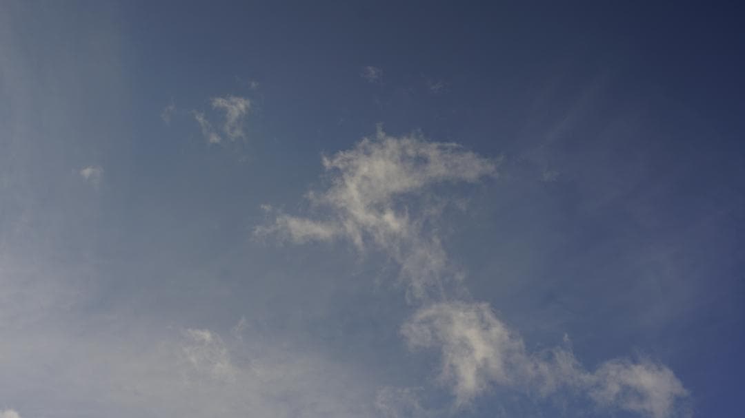 レンズ(単焦点) Carl Zeiss Planar 50mm F1.7 AEJ 437