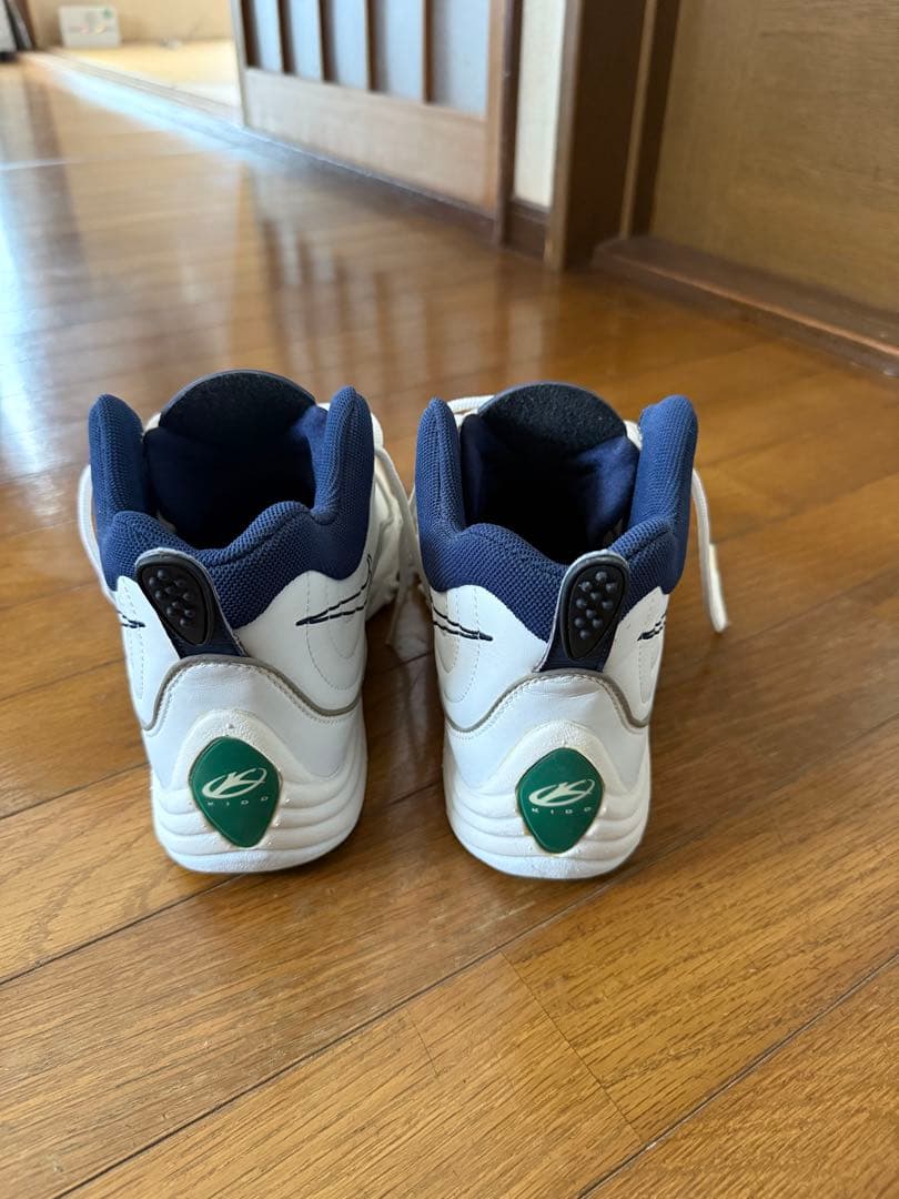 エアズームフライト5 29.5㎝