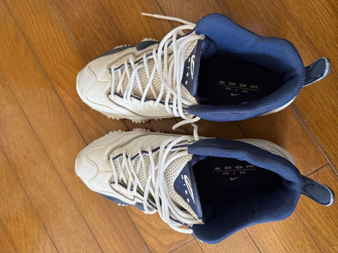 エアズームフライト5 29.5㎝