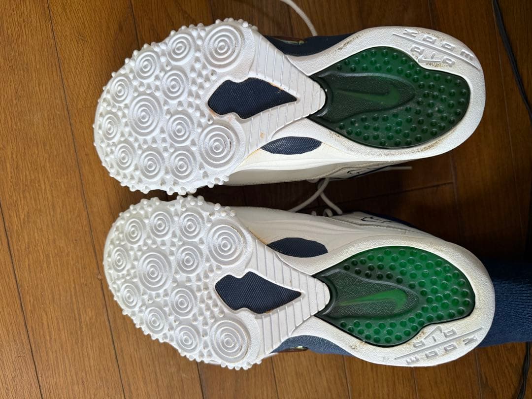 エアズームフライト5 29.5㎝