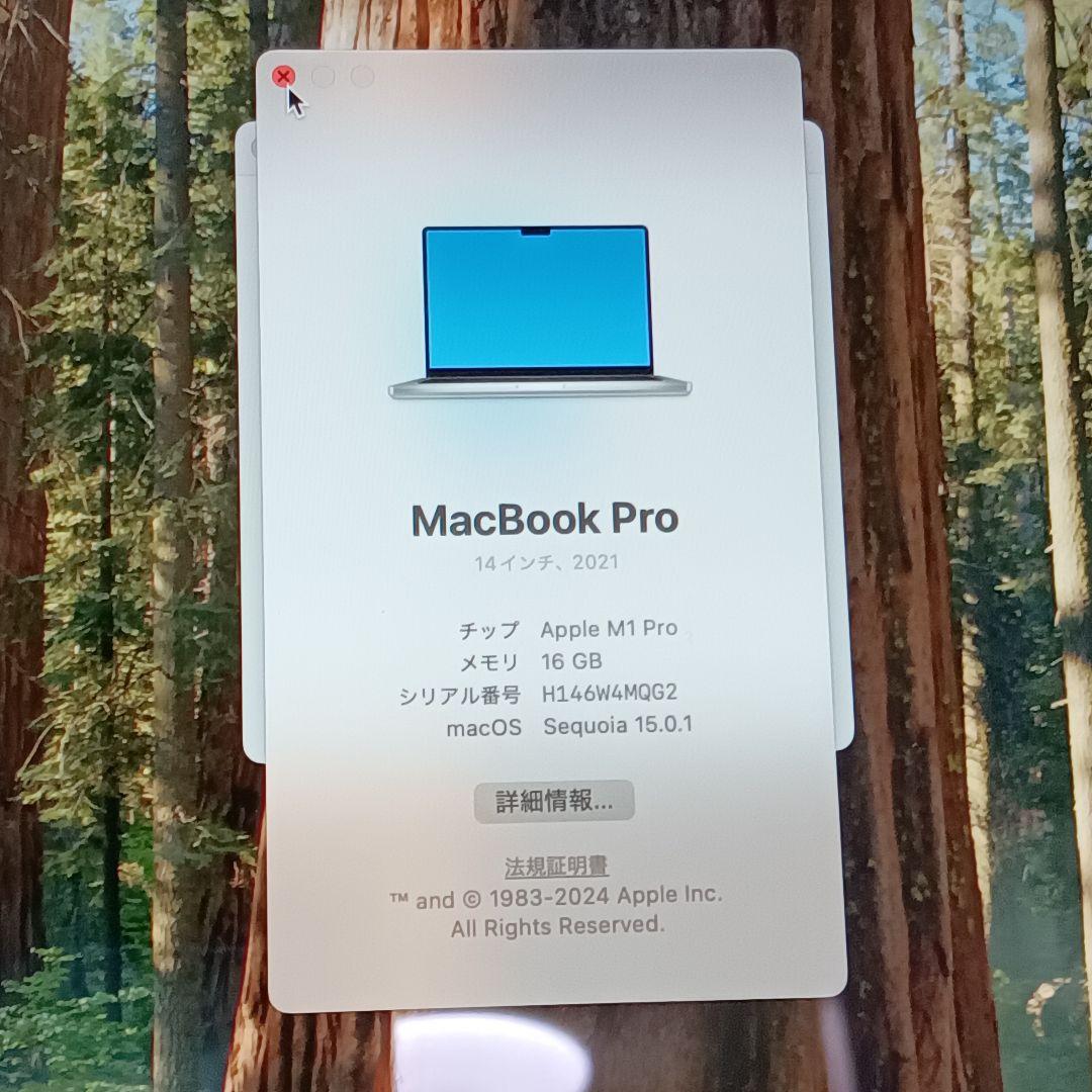 900激安早いもの勝ち✨️Apple M1 Pro 2021 14インチ1TB