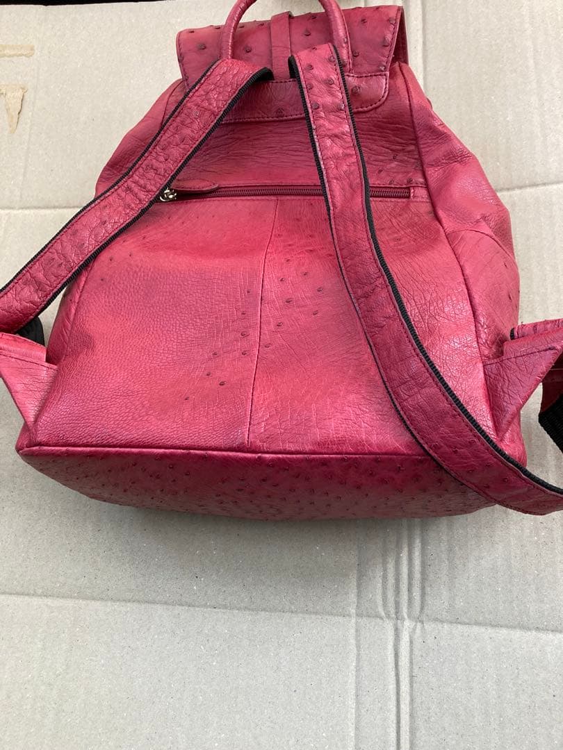 リュック　オーストリッチ　美品