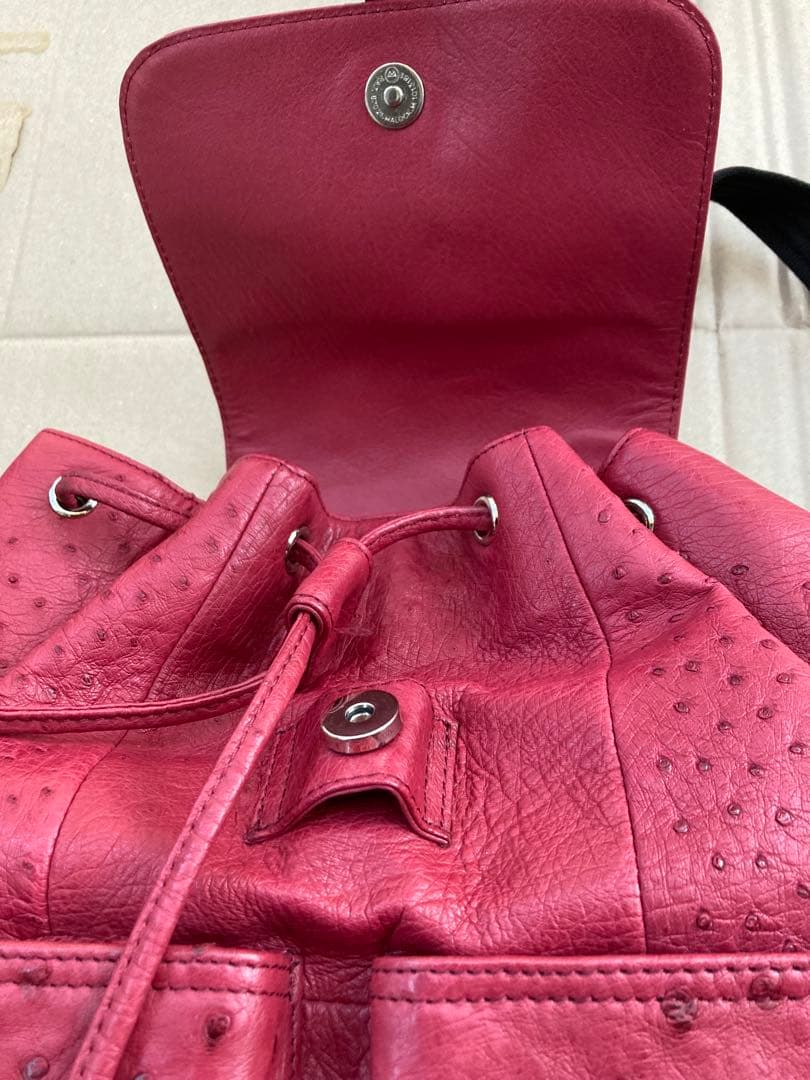 リュック　オーストリッチ　美品