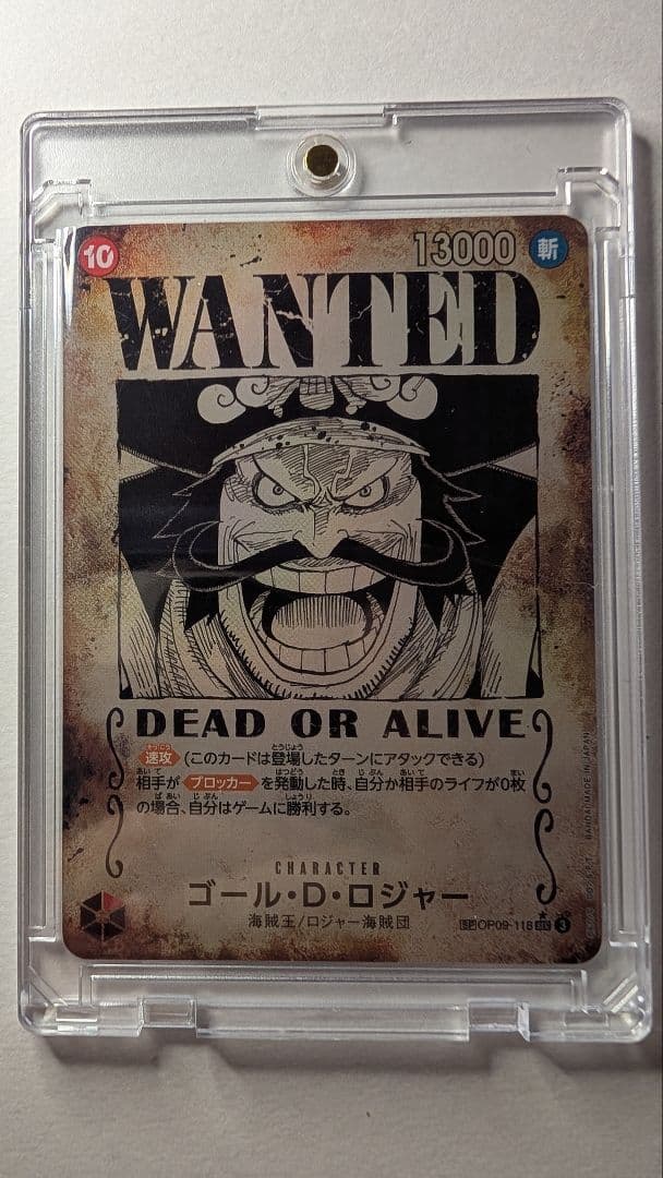 ゴール・D・ロジャー WANTED （手配書）（超美品）（ローダー付き）
