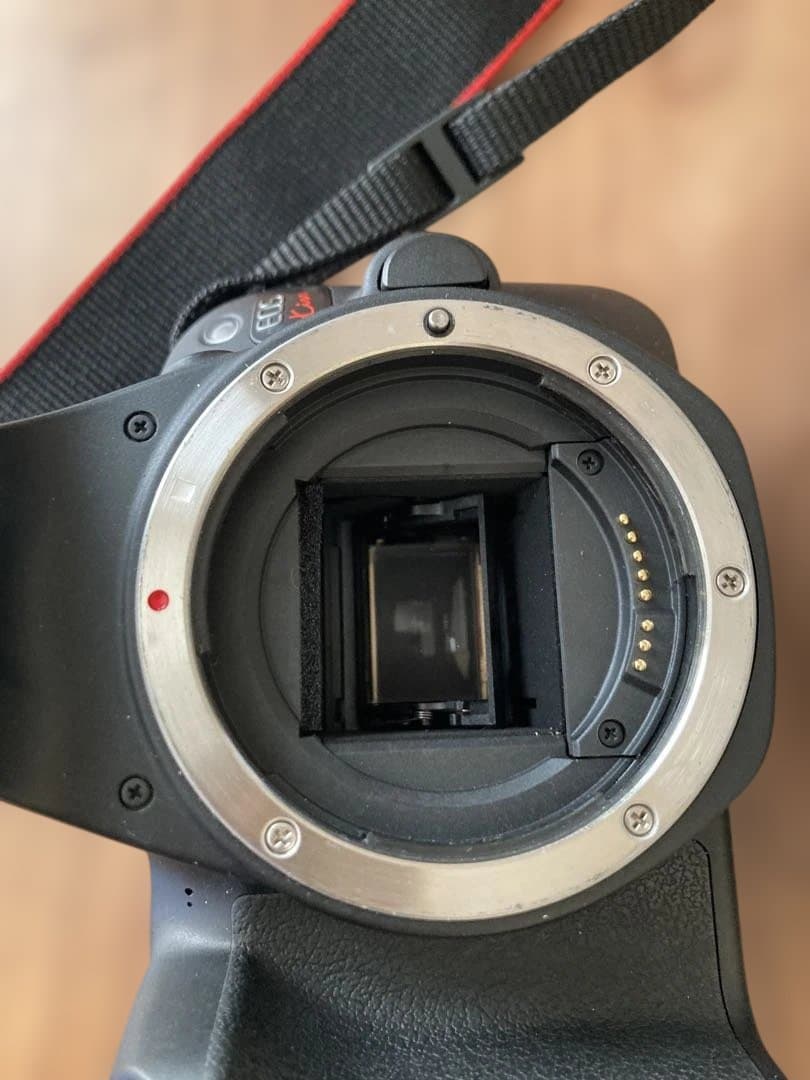 Canon EOS Kiss X9 レンズ2本セット（18-55mm＋50mm）