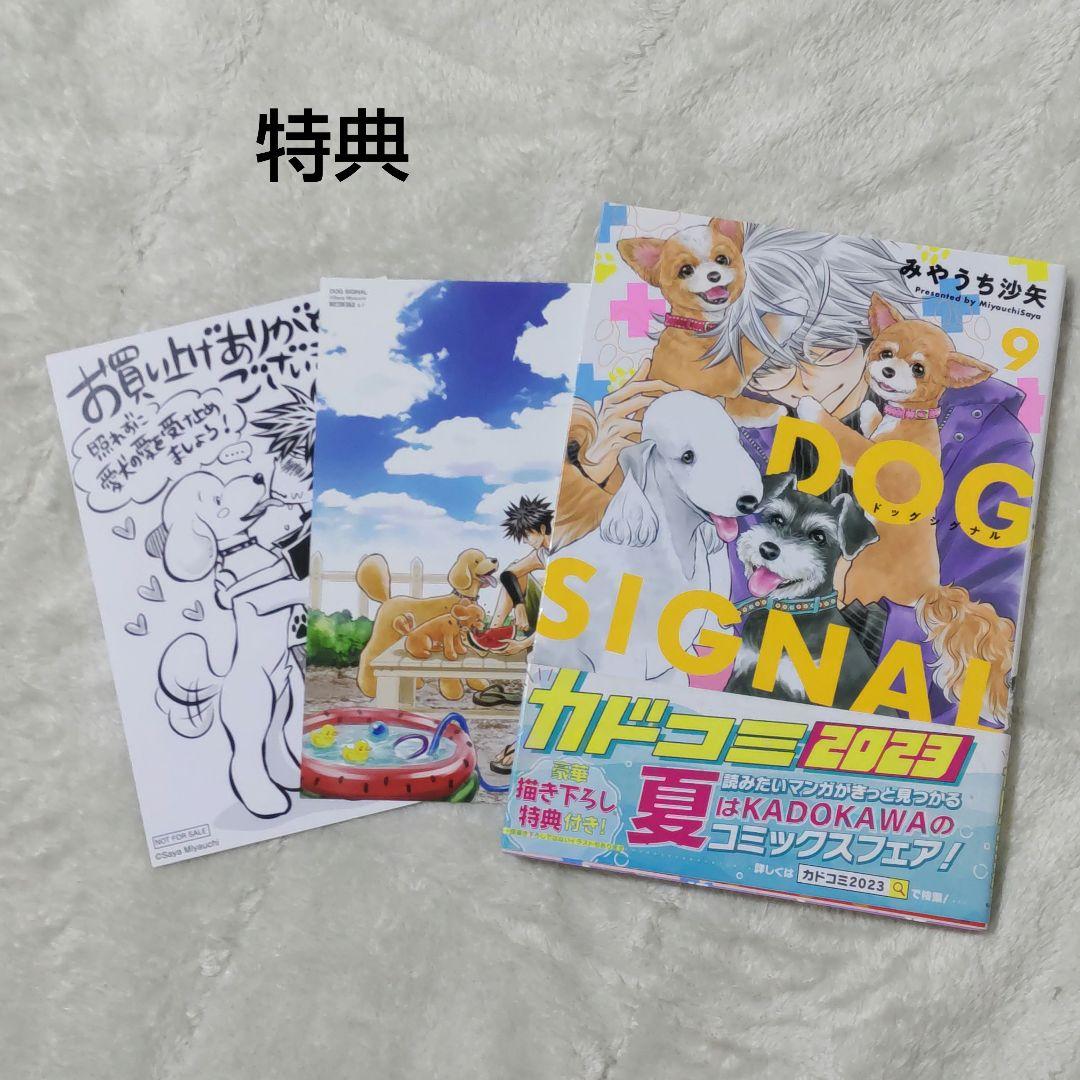 DOG SIGNAL (ドッグシグナル) 14巻 + よりぬき版 特典あり