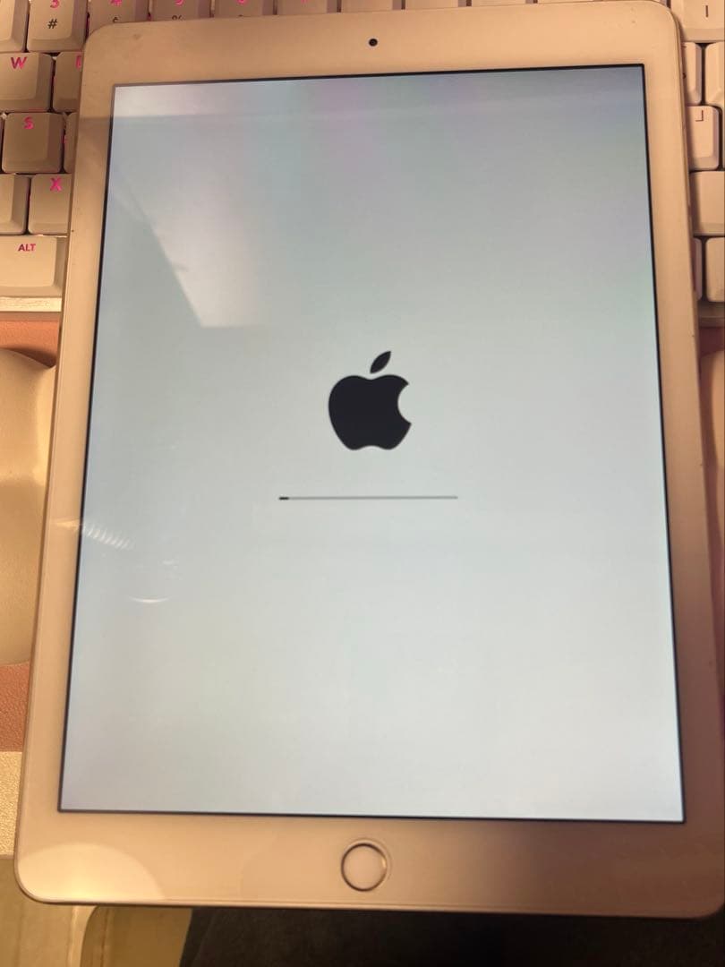 iPad本体 Apple iPad Air2