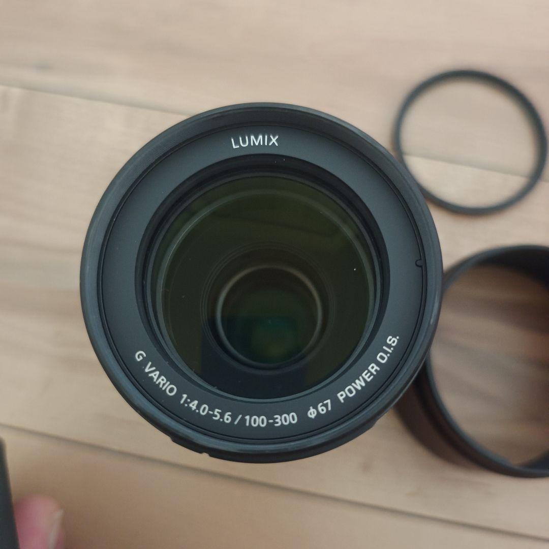 LUMIX G VARIO 100-300mm レンズ