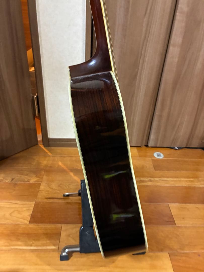 Morris W-50 アコースティックギター