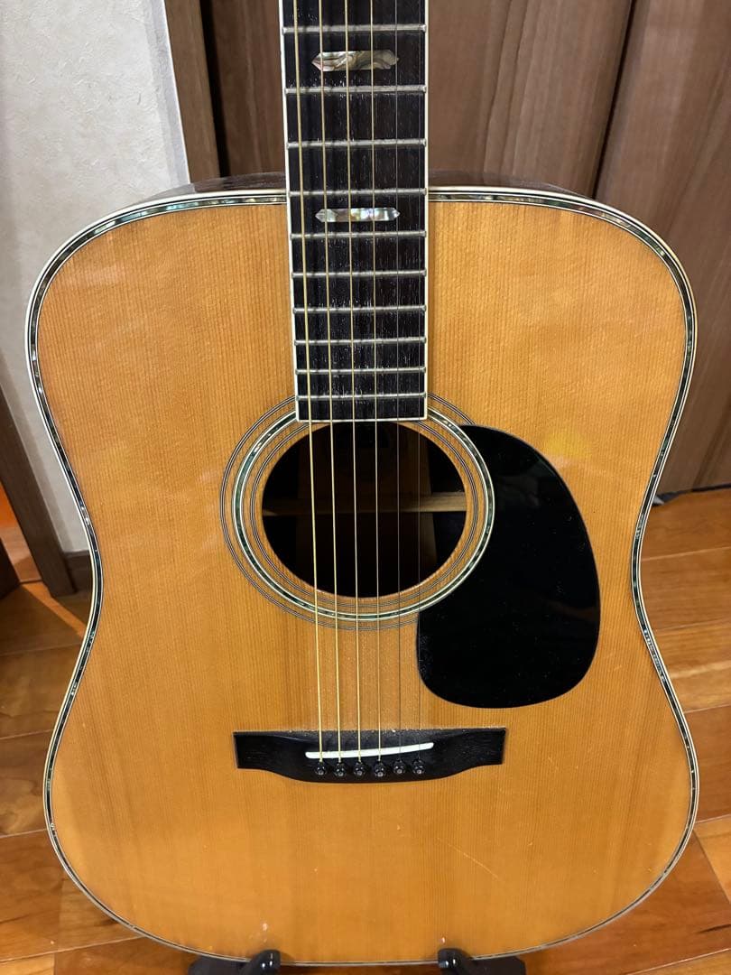 Morris W-50 アコースティックギター