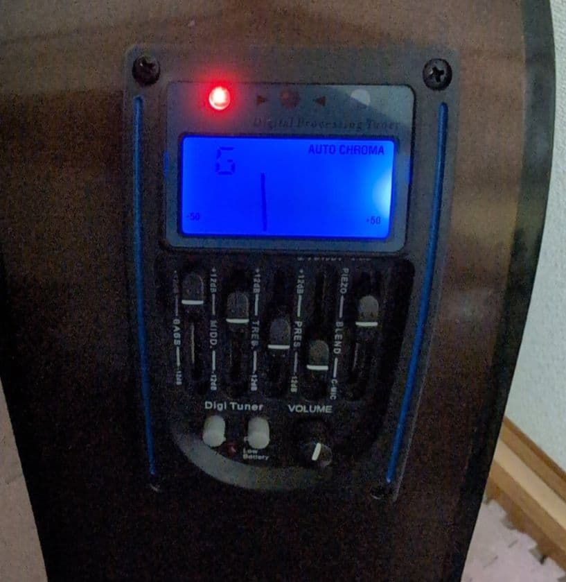 アライ　12弦アコギ、エレアコ仕様