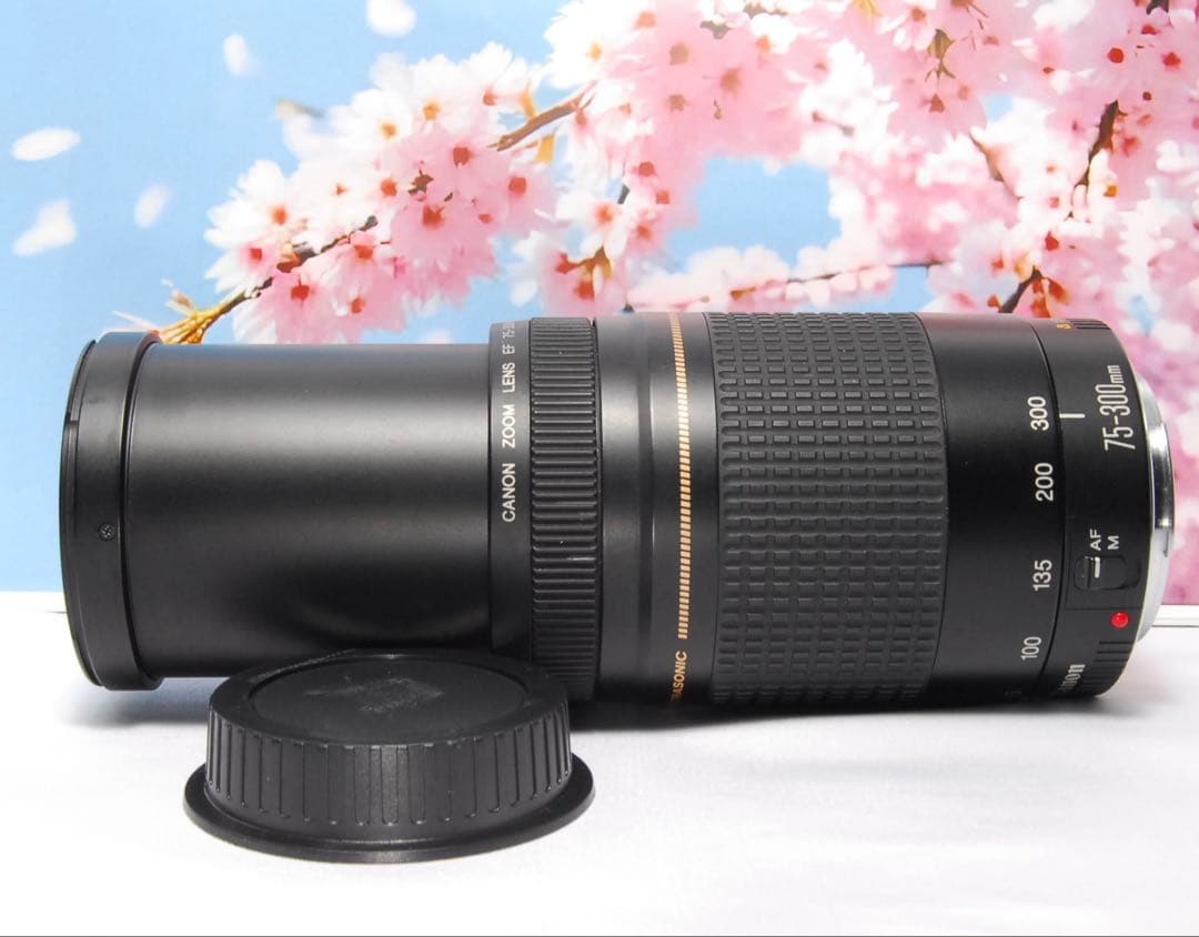美品❤️ Canon ZOOM LENS EF 75-300mm f4-5.6 Ⅱ
