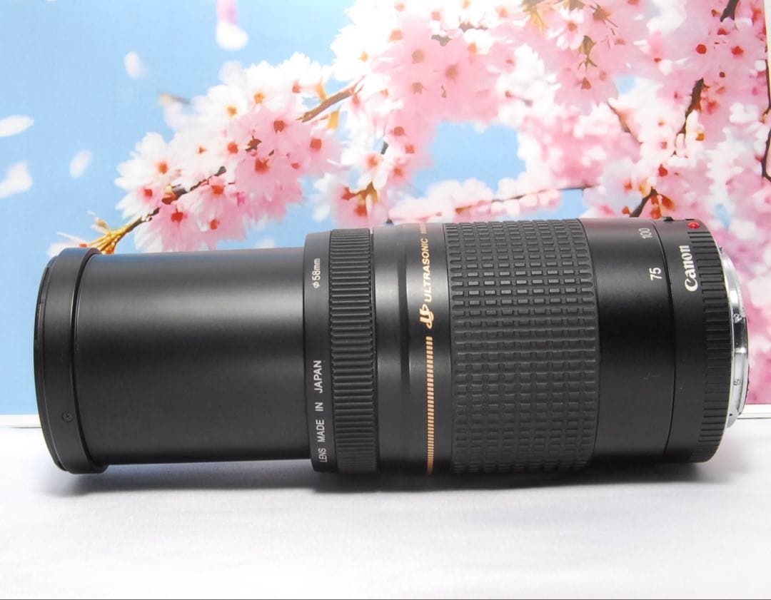 美品❤️ Canon ZOOM LENS EF 75-300mm f4-5.6 Ⅱ