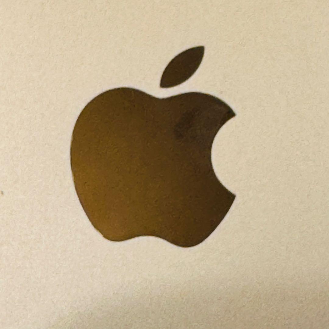 iPad mini 4 128GB ゴールド SIMフリー【ホームボタン難あり】