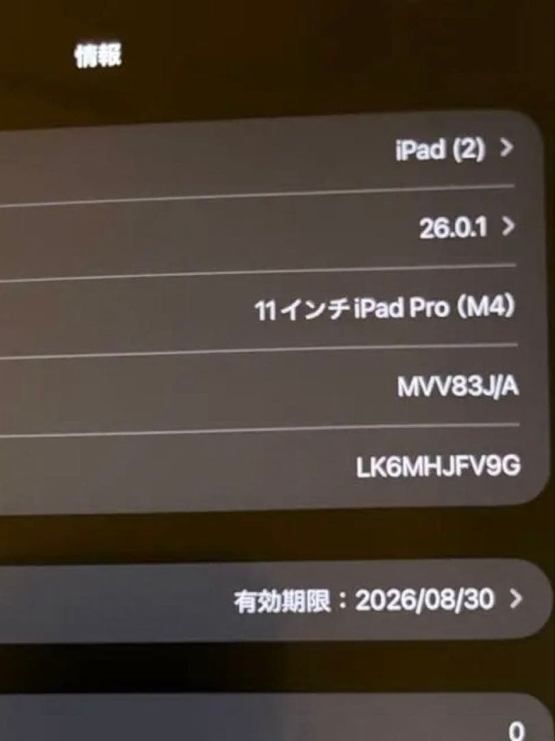 M4 iPad Pro 11インチ256GB+pencil pro +ケース