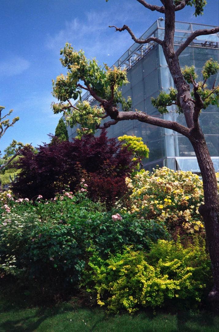 OLYMPUS 35RC 製備品、テスト撮影済　247037