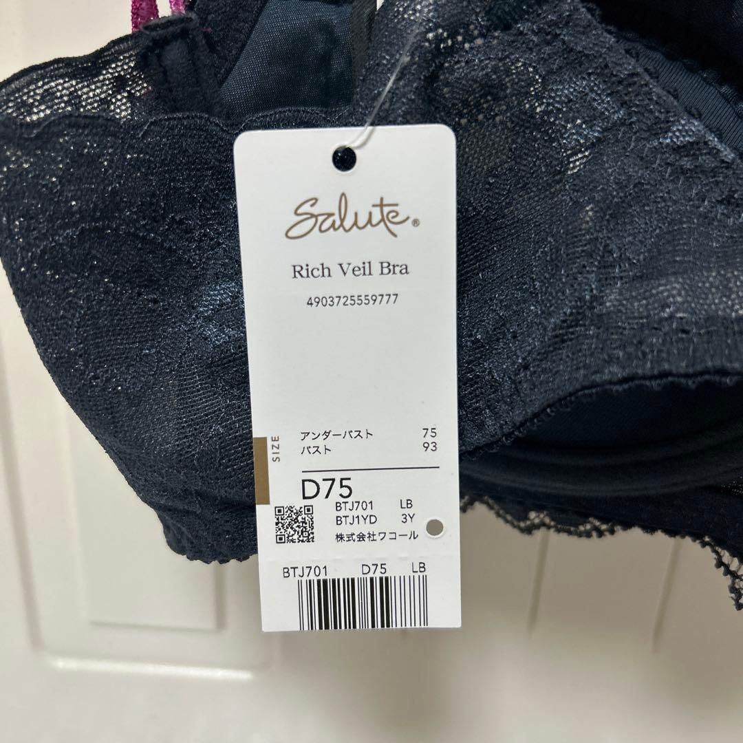 ワコール　サルート　ブラジャー　ショーツ　D75 M