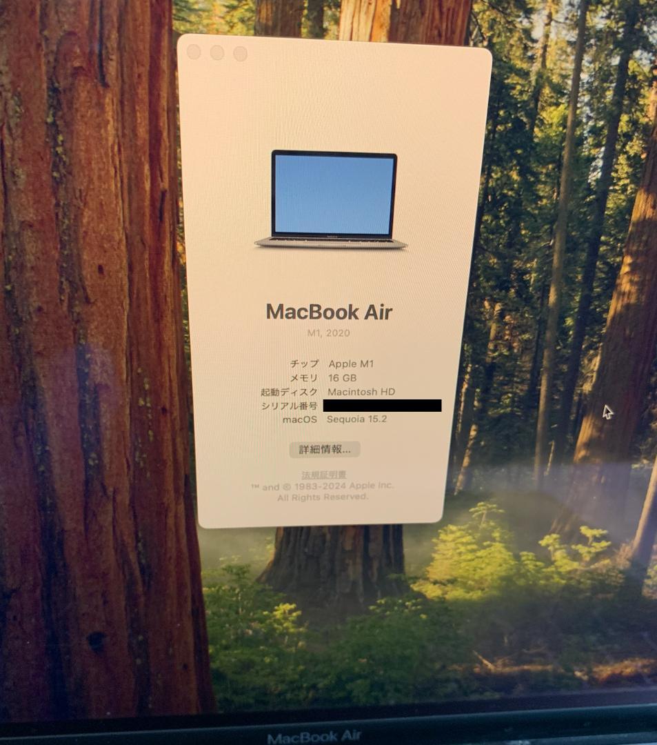 メモリ増築MacBook Air (M1, 2020)本体 16GB/256GB