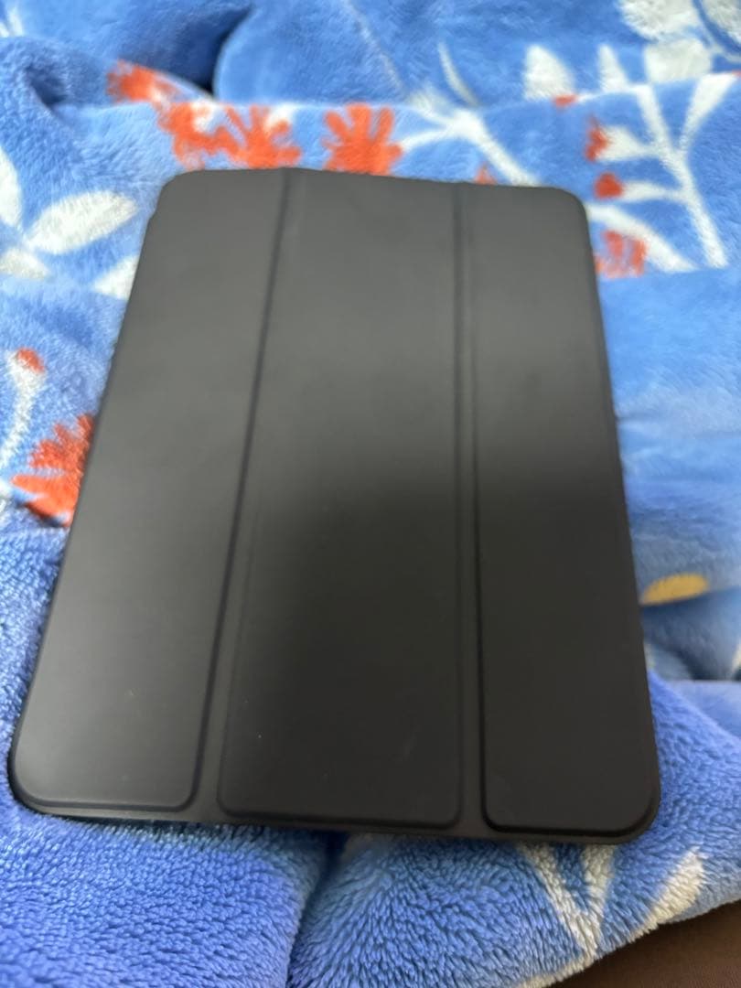 (極美品)ipad mini6 本体