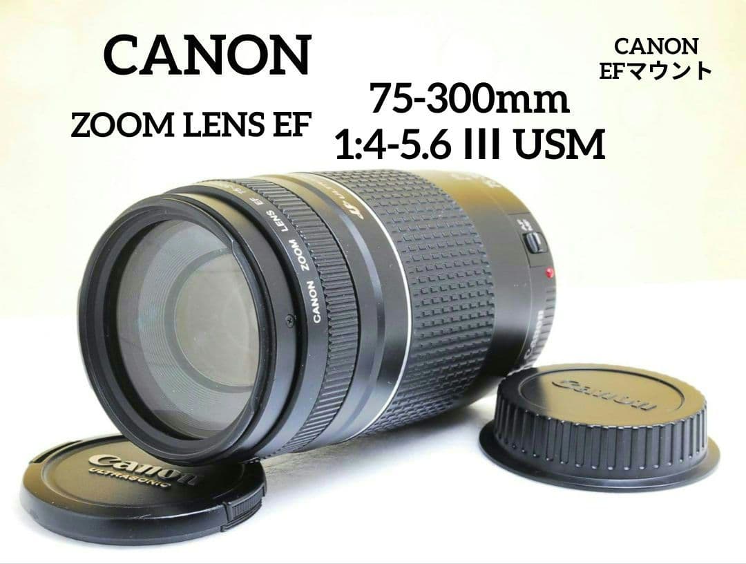 うっちー様　CANON ZOOM LENS EF 75-300mm　4-5.6