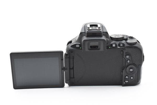 ニコン Nikon D5600 レンズキット 元箱付き #3159