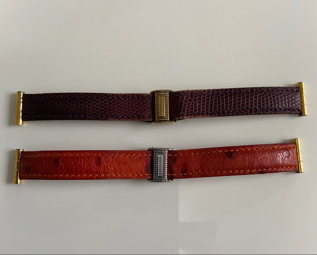 ブシュロン　リフレS 替えベルト