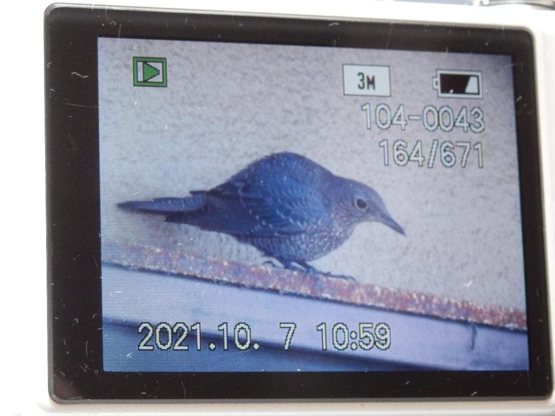 ❤️付属品・多数❤️動作品❤️パナソニック★FX37・白★箱付き❤️日本製