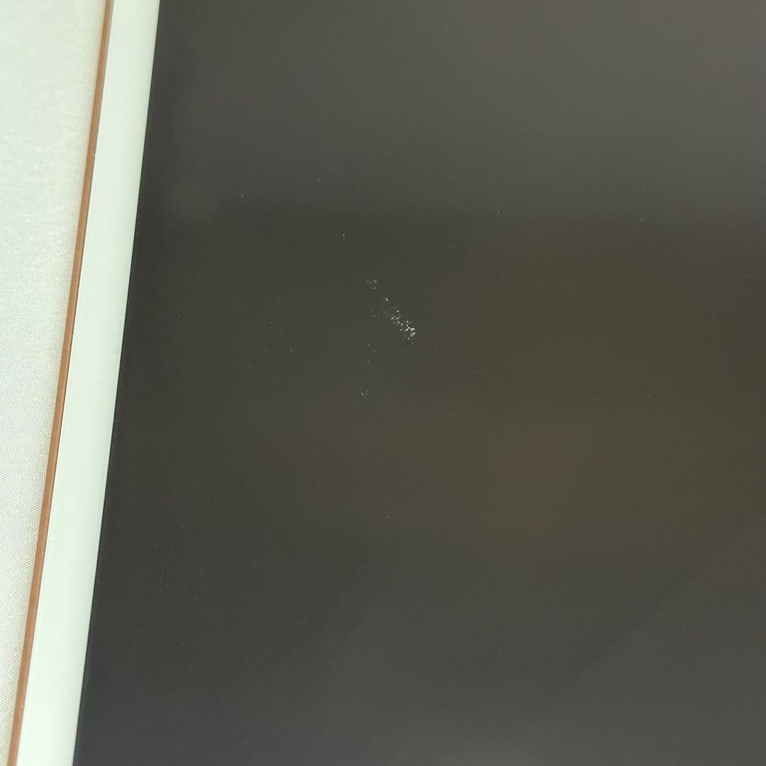 iPad mini5 256GB 美品 Celluar GOLD 第5世代