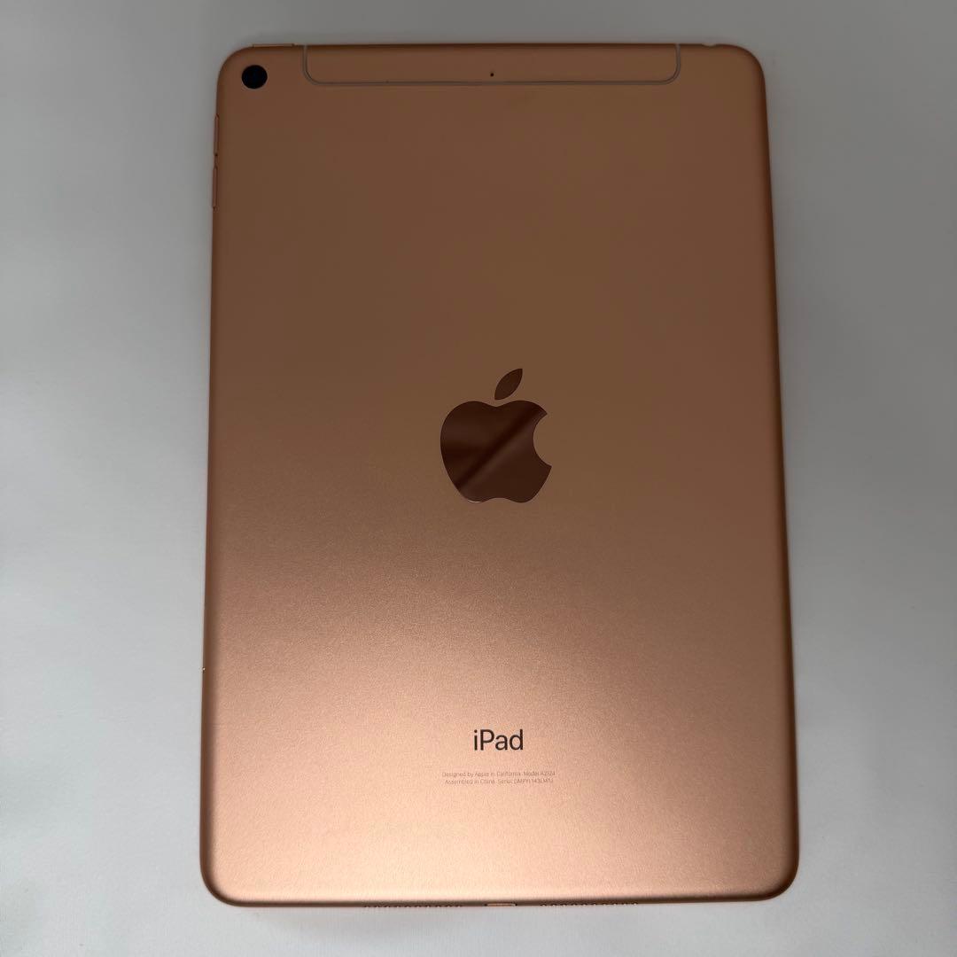 iPad mini5 256GB 美品 Celluar GOLD 第5世代