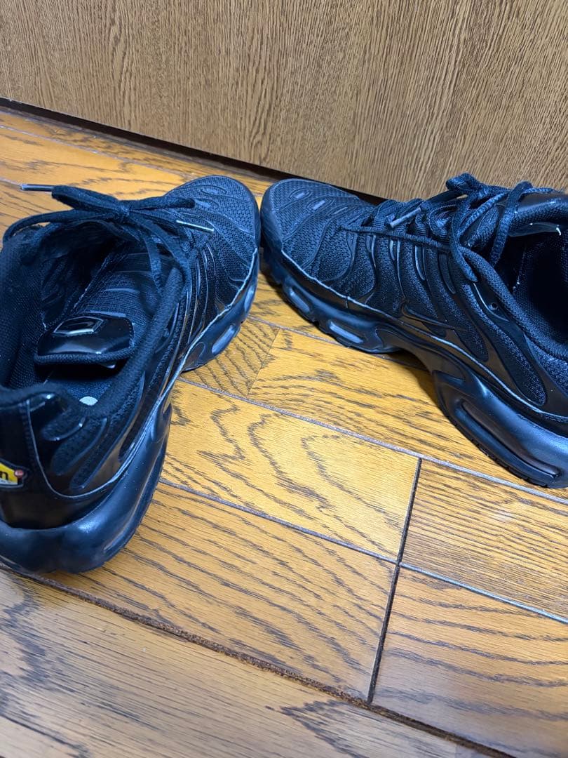 NIKEナイキ AIR MAX PLUS エアマックスプラス　29cm