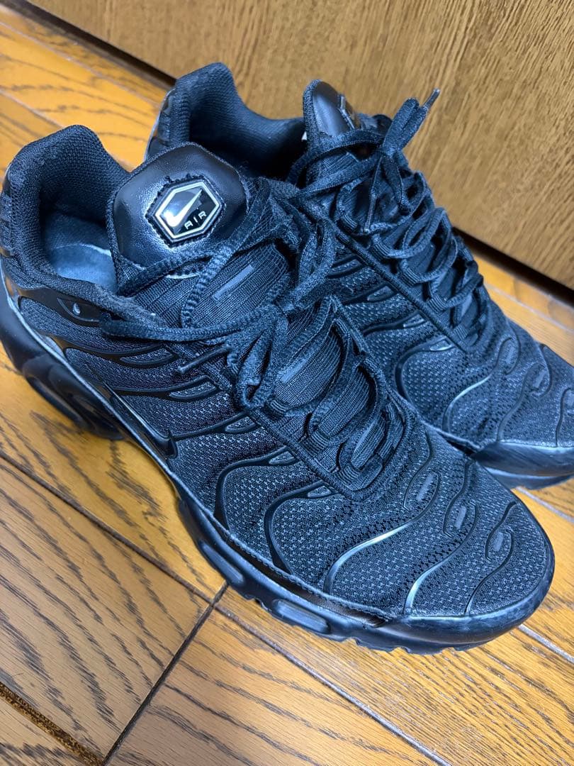 NIKEナイキ AIR MAX PLUS エアマックスプラス　29cm