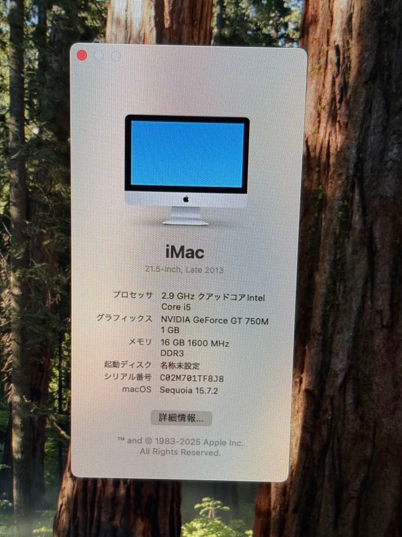 Macデスクトップ Apple iMac 21.5 Late 2013 macOS+Windows