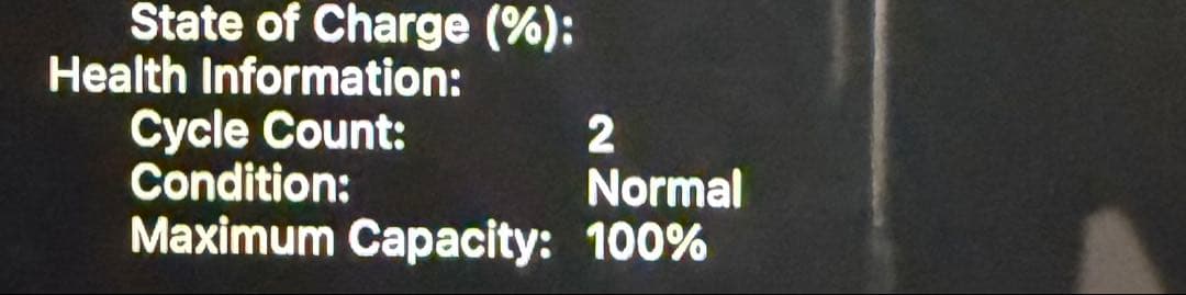 極美品MacBook Air M4 13インチ 16GB/256GB