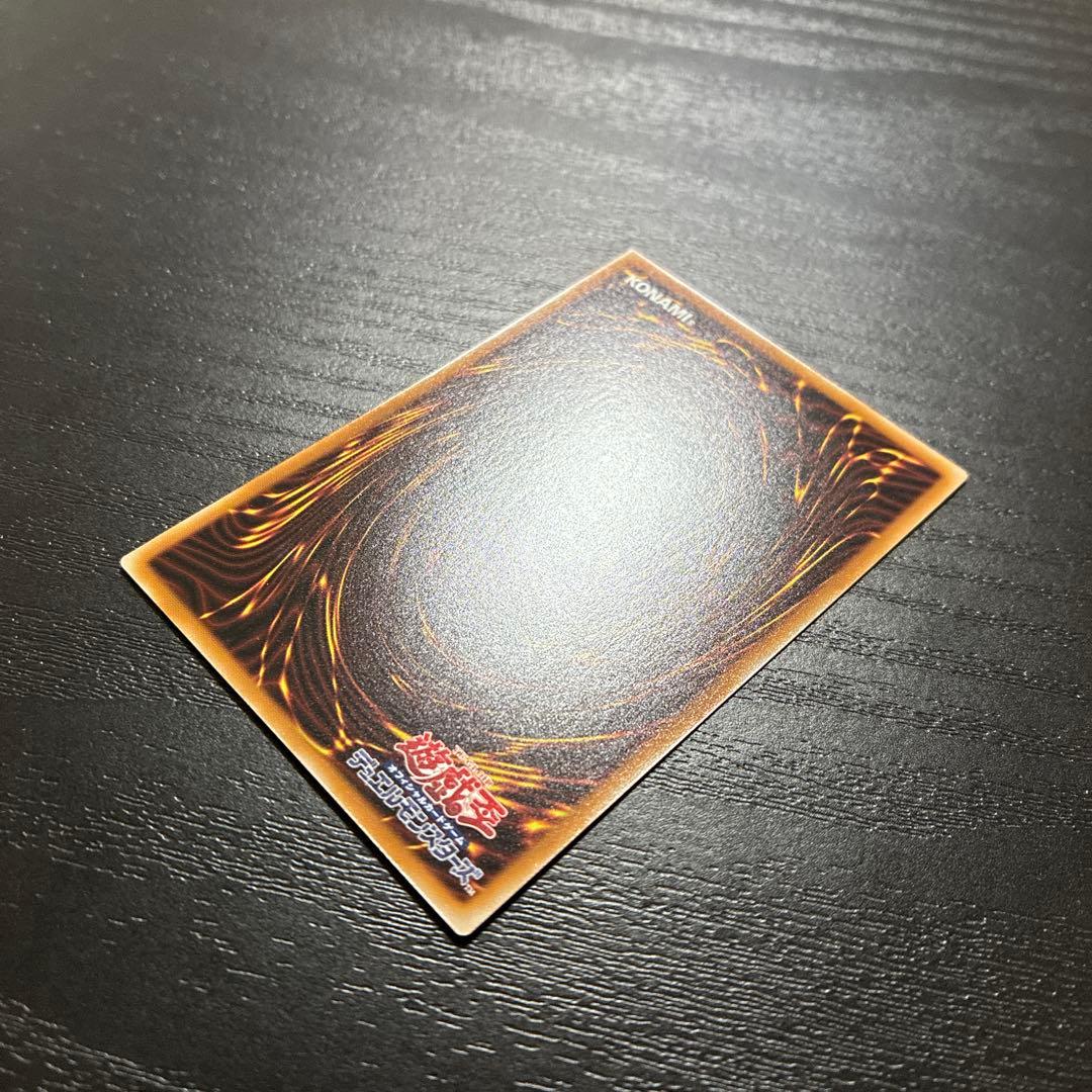 遊戯王　聖域を守護せし光の龍　エクストラシークレットレア1枚