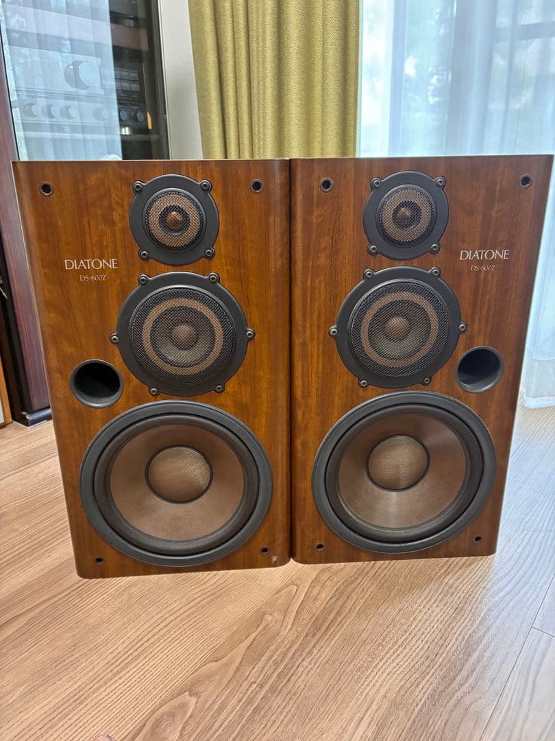 【値下げ】DIATONE DS-600Z（右側）
