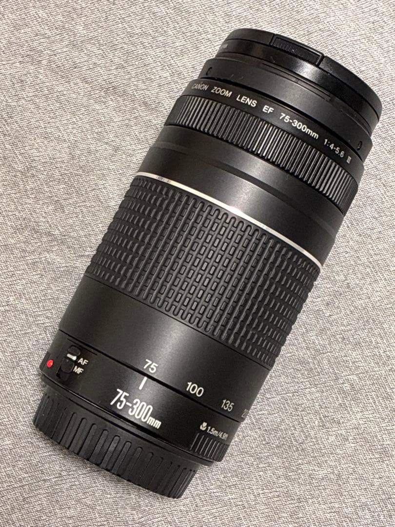 ⭐️美品⭐️ Canon EF 75-300mm F4-5.6 III 望遠レンズ