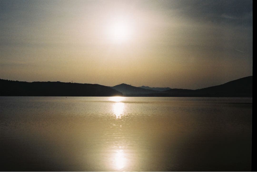 【作例あり】ライカD IIブラック