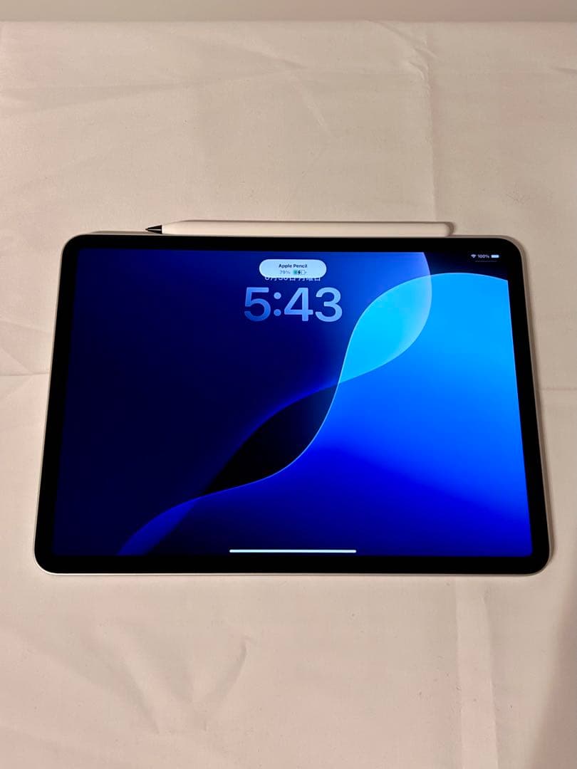 Apple iPad Pro 11 (第3世代) 256GB シルバー M1