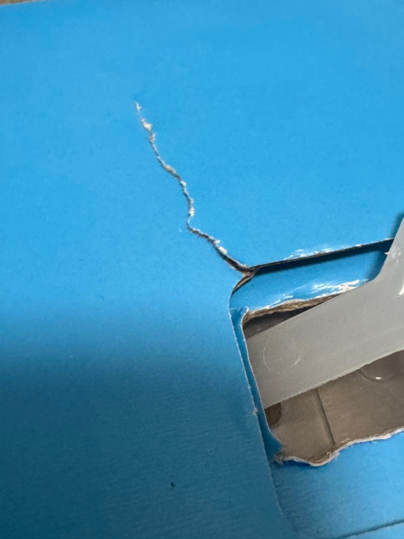 【新品・未開封】ブラーバジェット m6