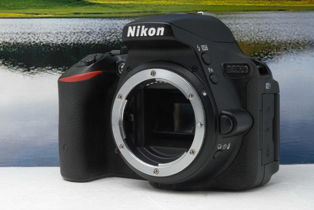 初心者向け　Nikon D5500 高性能 Wi-Fi搭載 届いてすぐ使える