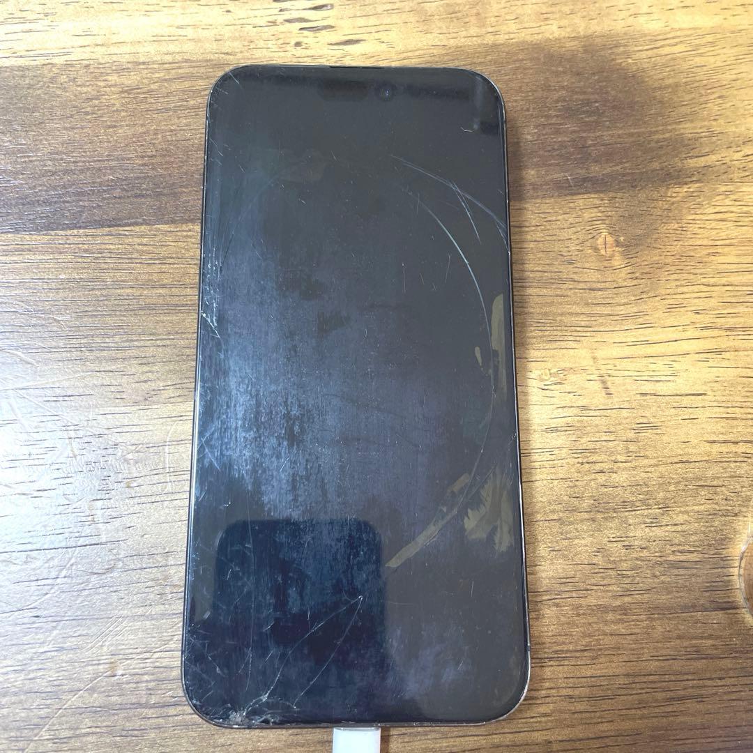 ジャンクiPhone 15ProMax Blue Titanium 鳩