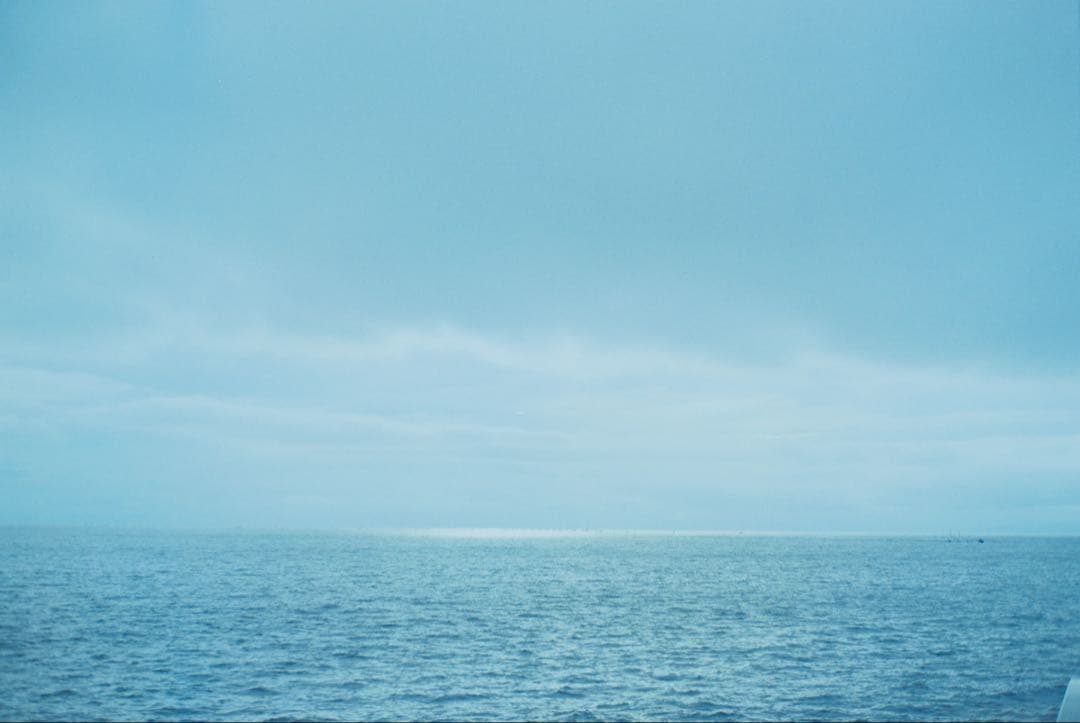 フィルムカメラ Rolleiflex SL35M planar 50mm f1.8