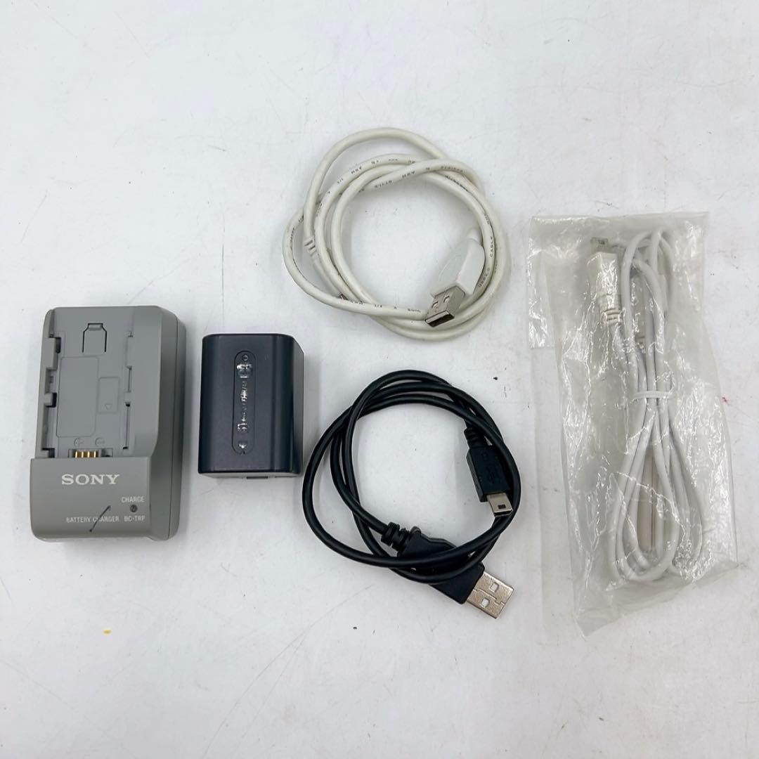 11ABM005 SONY ソニー Handycam　HDR-SR12 動作品