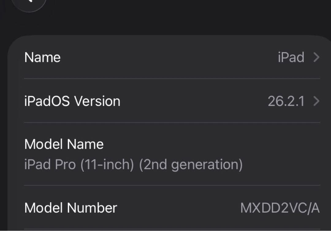 iPad Pro 第2世代 11インチ 258GB Wi-Fi