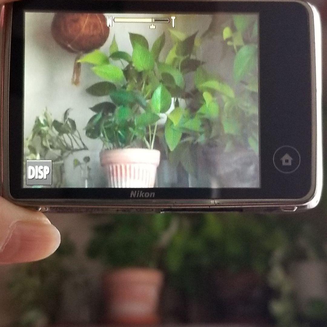 実動 Nikon ニコン COOLPIX S02 超小型ボディー希少 コンデジ